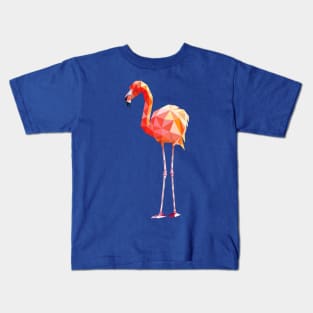 Flamingo Kids T-Shirt